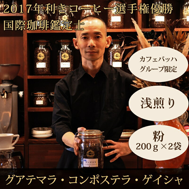 【ふるさと納税】【カフェバッハグループ限定】粉・グアテマラ・ゲイシャ（浅煎り）｜赤富士珈琲｜利き珈琲チャンピオン厳選　送料無料 静岡県 富士宮市