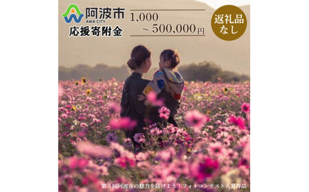 【 返礼品なし 5,000円  】 徳島県 阿波市 への 寄附 応援寄附金