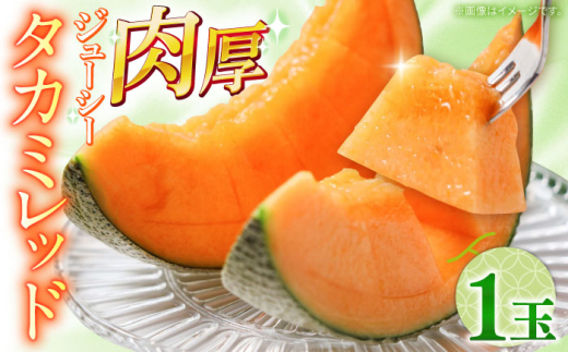 【2027年5月〜発送】タカミメロン レッド 1玉 / メロン めろん フルーツ 果物 / 南島原市 / 南島原果物屋 [SCV029]