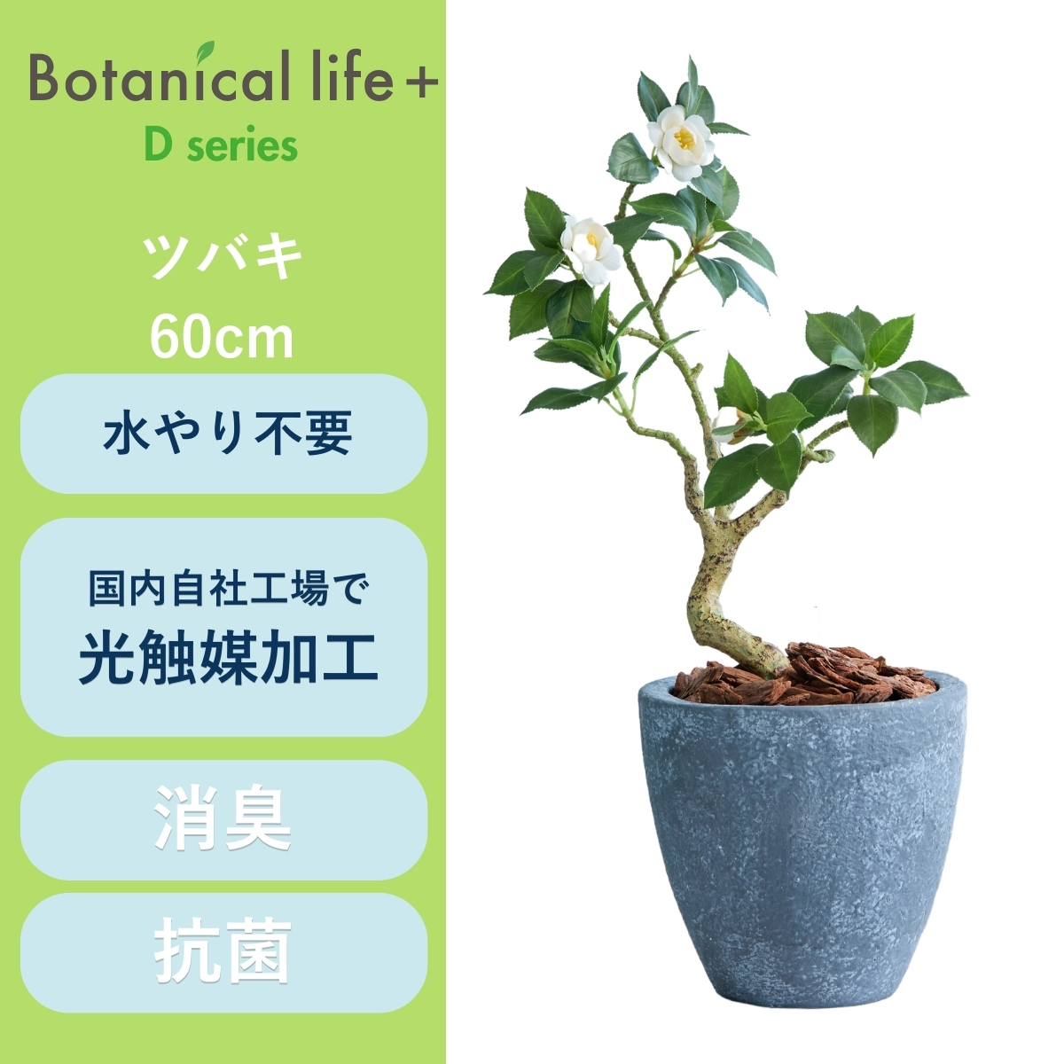 フェイクグリーン Botanical life+ Dシリーズ ツバキ 60cm 光触媒加工 鉢付き (鉢: 石造り風 ライトストーン ) インテリア 抗菌 消臭 愛知県 豊橋市 送料無料 35000円