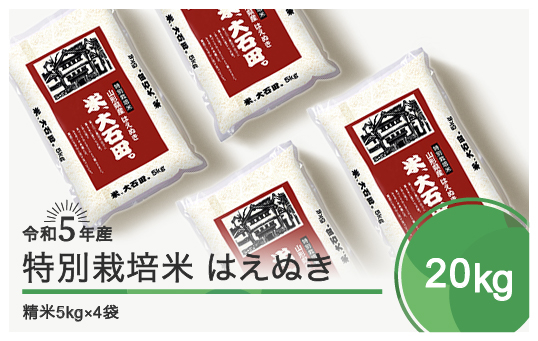 
令和5年産 米 はえぬき 20㎏ 大石田町産 特別栽培米 精米
