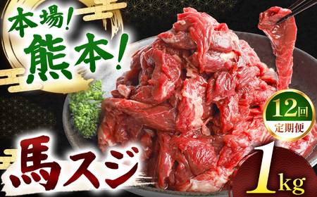 【定期便 12回】馬スジ 1kg ( 500g × 2 ) | 肉 にく お肉 おにく 馬 馬肉 馬スジ 定期 定期便 熊本県 玉名市