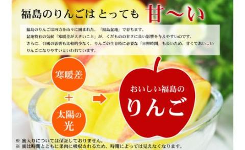 No.2431菅野房吉商店　サンふじりんご　1.8kg【2024年発送】