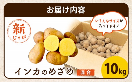 《！数量限定！》【新じゃが】インカのめざめ 混合サイズ 10kg