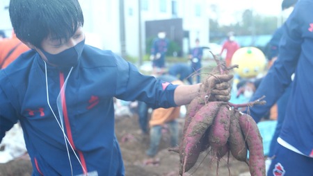 ＜早割A＞2025年度おいも株オーナー制度1口セット ふくしまゴールド【芋 さつまいも 福島 2kgふくしまゴールド 芋 さつまいも 福島 2kg株 芋 さつまいも 福島 2kgオーナー 芋 さつまい