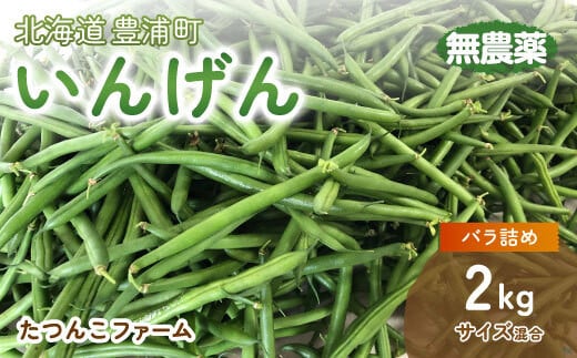 
いんげん 2kg バラ詰め サイズ混合 北海道 豊浦町 【ふるさと納税 人気 おすすめ ランキング 野菜 根菜 いんげんインゲン国産 バラ 詰合せ 混合 おいしい 美味しい 甘い 北海道 豊浦町 送料無料】 TYUF002
