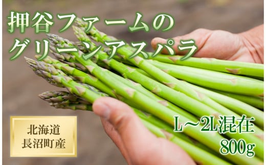 
            【先行予約】北海道長沼町産・押谷ファームのグリーンアスパラ（L～2L混在 800g）2026年5月中旬発送開始予定
          