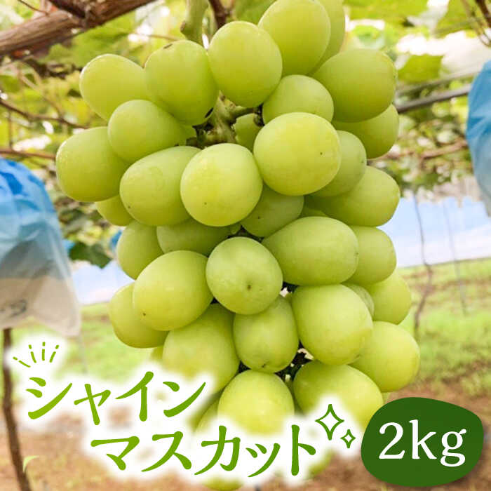 【ふるさと納税】【先行予約】シャインマスカット 2kg 【2025年9月以降順次発送】《豊前市》【山田農場 フルーツランド】 ぶどう マスカット 葡萄[VCY005] 25000 25000円