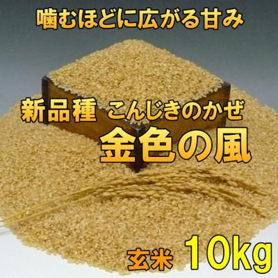 ふるさと納税 奥州市  金色の風(こんじきのかぜ)玄米 10kg 岩手県奥州市 令和7年産玄米 10キロ[AC030]