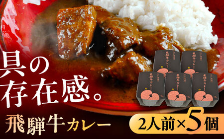 -あふひ 贅の極み- 飛騨牛カレー 2人前×5個セット / 恵那市 / テンポイント [AUEU004]