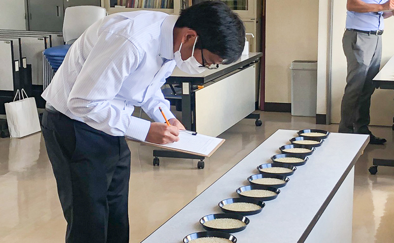 米 ななつぼし 5kg 白米 精米 お米 こめ おこめ コメ 単一原料米 ブランド米 北海道米 北海道産 米ななつぼし ご飯 ごはん 北海道 芦別市