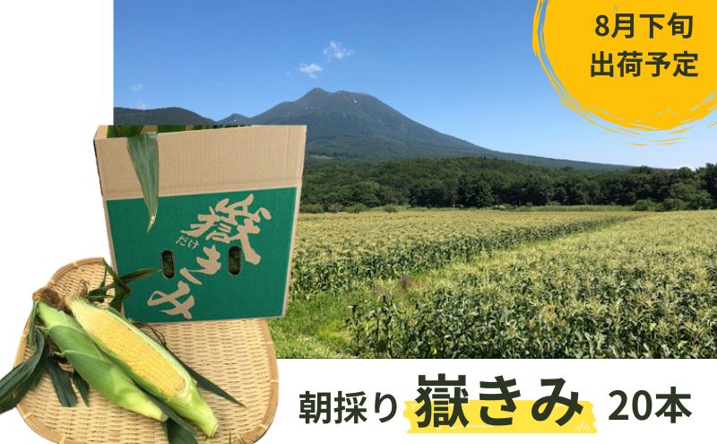 8月下旬発送 朝採り嶽きみ20本【弘前市嶽高原産・とうもろこし】