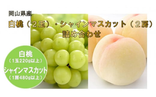 岡山県産フルーツ詰合せ／白桃２玉（１玉220g以上）・シャインマスカット２房（１房480g以上）（ハックルベリーフィン）