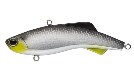 shiriten VIBE 53 #19 湾岸コノシロ