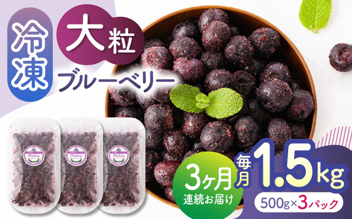 【3回定期便】大粒 冷凍ブルーベリー 約1500g（約500g×3pc）【すみれファーム】 [ZEP013]