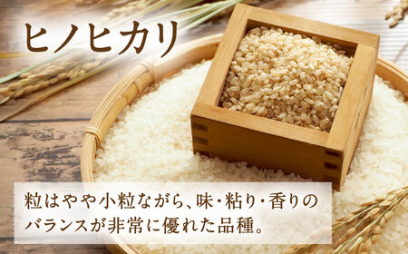  ヒノヒカリ 玄米 6kg（2kg×3袋） 【株式会社 岩下農園】[ZFS005]