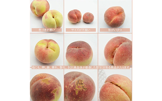 2026年発送 山梨市産 訳あり桃 約2kg(4〜8玉)【配送不可地域：離島】【1688049】