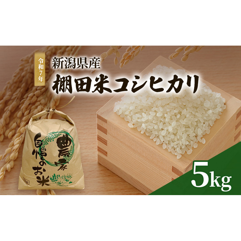 新米 令和7年 新潟県産 棚田米 コシヒカリ 5kg 5キロ 米 上越市 清里区 厳選 こしひかり 白米 精米