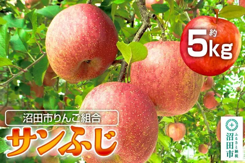 《12月下旬～1月中旬発送》沼田市りんご組合 りんご（サンふじ）約5kg 群馬県沼田市