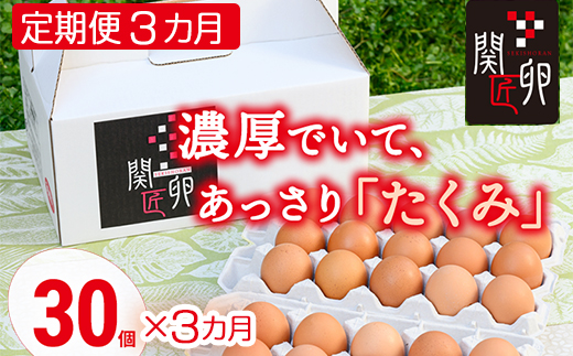 【定期便3か月】関匠卵 たくみ 30個×3か月｜卵 30個 赤玉 玉子 たまご 生卵 鶏卵 産みたて 新鮮 濃厚 健康 TKG たまごかけごはん ご飯のお供 国産 ギフト 贈答 贈り物 お中元 お歳暮