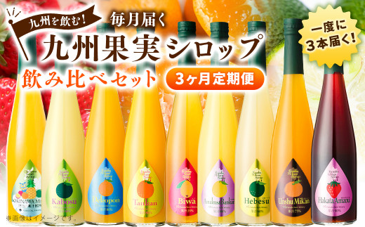 
【3ヶ月定期便】 九州を飲む！毎月届く 九州果実シロップ 飲み比べセット 500ml×3本×3回 果物 フルーツ ジュース
