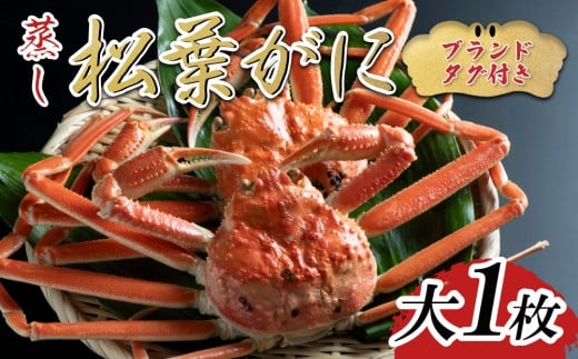 【先行予約】【蒸し】ブランドタグ付き松葉ガニ 大1枚 2025年11月～順次発送｜鳥取 岩美 松葉がに かに【22055】