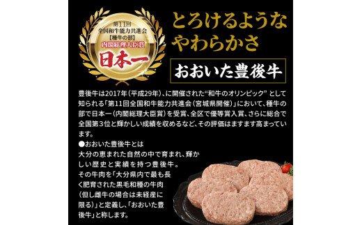 豊後牛と桜王豚のＷハンバーグ2kgセット  