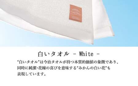 今治タオル TOWEL Lovely Princess from EHIME JAPAN バスタオル2枚 ギフトセット 木箱入り ラブリープリンセス 【タオル専科 ５SECONDS】