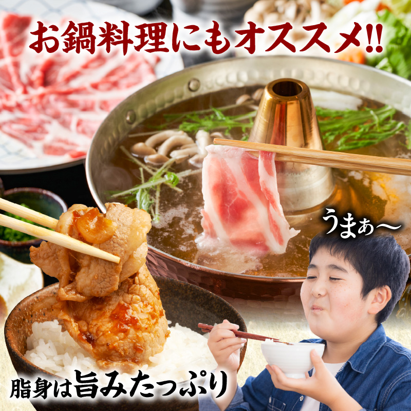 ≪訳あり≫宮崎県産豚ローススライス計1kg≪ロース・肩ロースどちらかのお届け≫ 肉 豚 豚肉 おかず 国産_T009-0103