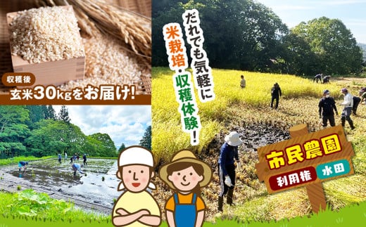 市民農園・利用権（水田） | 農業体験 農園 野菜作り アクティビティ 木島平村 信州