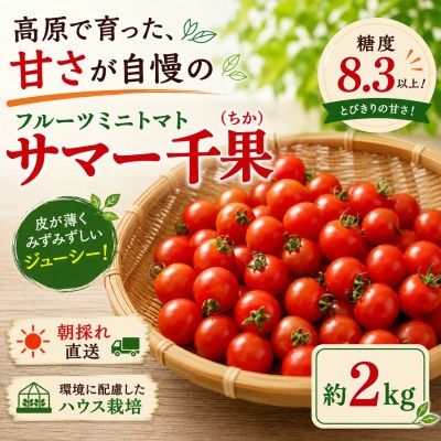 【先行受付】八ヶ岳産　高原育ちのフルーツミニトマト サマー千果 約2kg【配送不可地域：離島】