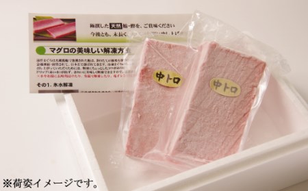 天然本マグロ 中トロ 赤身 マグロセット eb015