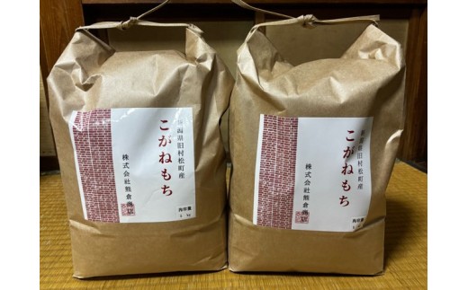 【先行予約】令和8年産 旧村松町産 こがねもち 10kg(5kg×2袋) 新潟県 五泉市 株式会社熊倉商店