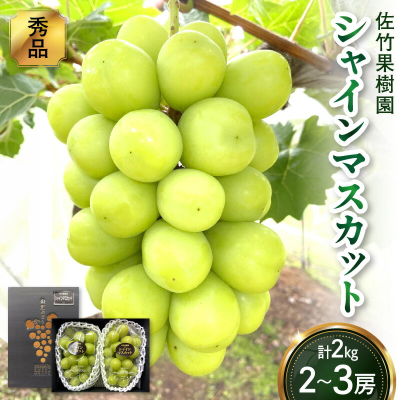【ふるさと納税】 ぶどう ( シャインマスカット ） 2～3房 合計2kg以上 化粧箱入り 山形県 上山市 0041-2601