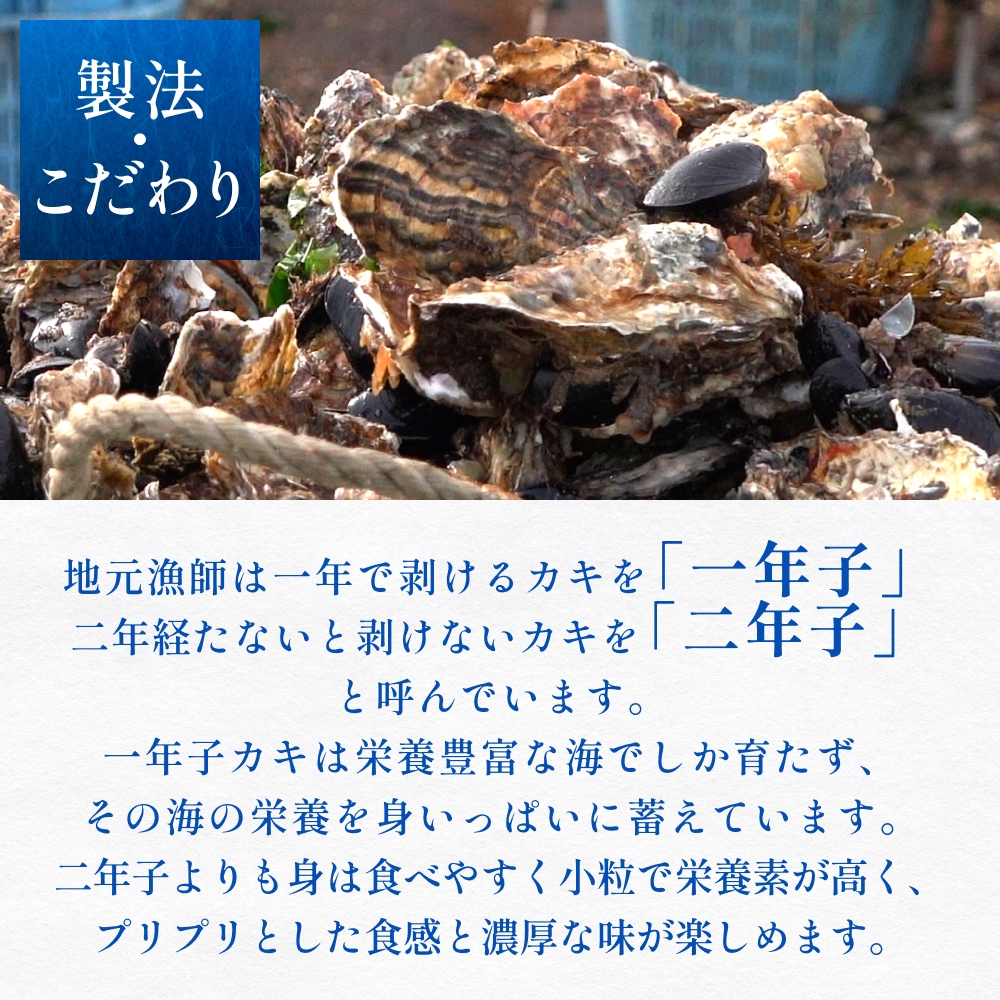 宮城県産 生食用牡蠣 一年子生カキ むき身 1kg かき カキ 剥き身 生牡蠣 プリプリ 濃厚