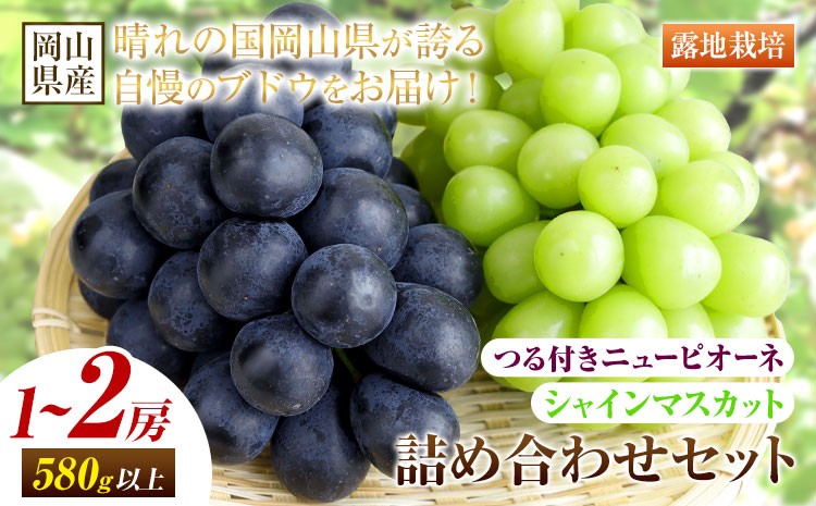 
                  【先行予約】 岡山県産 つる付き ニューピオーネ & シャインマスカット 晴王 セット 露地栽培 内容量が選べる 有限会社ホーティカルチャー神島《9月上旬-10月中旬頃出荷》岡山県 浅口市 ぶどう 詰め合わせ【配送不可地域あり】
                