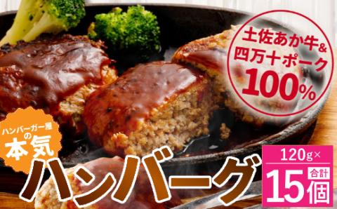 ハンバーガー屋の本気ハンバーグ1.8ｋｇ（120ｇ×15個） ＜ 国産 高知県産 牛肉 豚肉 ブランド肉 希少 土佐あかうし 四万十ポーク ＞