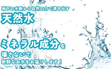【山梨道志村　天然水】　doshiwater 富士山系の大地の恵み　BIB80L(10ℓ×2箱×2セット)【5回定期便】｜水