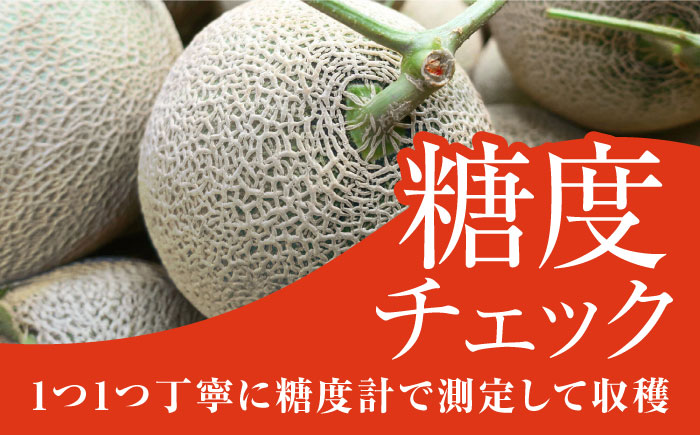 よこすか潮風メロン 大玉4L 2玉セット 計約3㎏ 【井上農園】 [AKDJ001]