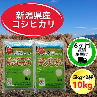 ふるさと納税 胎内市 【毎月定期便】【6ヶ月連続お届け】新潟県胎内市産コシヒカリ10kg(5kg×2袋)全6回