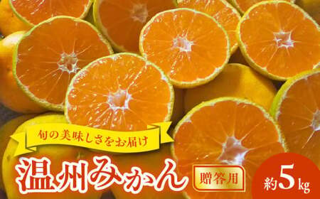 進栄【贈答用】温州みかん約5kg_U68-0131
