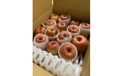 【2025年先行予約】りんご 訳あり サンふじ 約10kg |  林檎 りんご 浅間商産 産直市場 ヤマサン 信州産 長野県 千曲市
