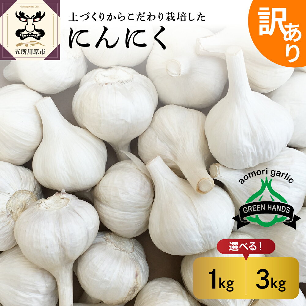 【ふるさと納税】【大好評につき順次発送中】＼★4.94 レビュー高評価 !／【 訳あり 】 青森県産 にんにく ( 内容量が選べる : 1kg 3kg )/ ニンニク 野菜 薬味 ホワイト6片種 濃厚 食品 食材 自宅用 家庭用 ストック 大容量 長期保存 常温保存 青森県 五所川原市