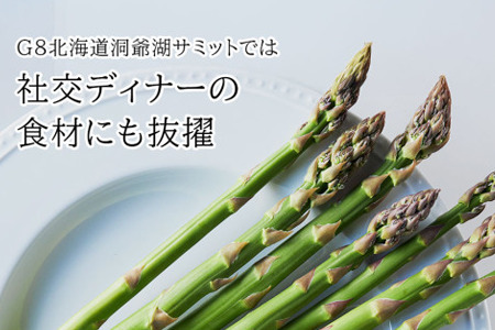 【令和9年産 先行予約】アスパラガス 2Lサイズ 1kg 定期便 2回便 北海道 ラスノーブル グリーンアスパラ