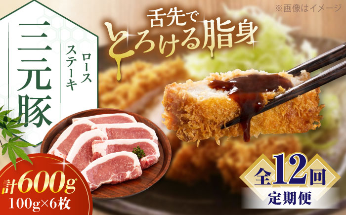 
                  【全12回定期便】平田牧場 ロースステーキ 600g  (100g×6枚) ※藻塩ナシ《喜茂別町》【平田牧場】肉 豚肉 ロース ステーキ ステーキ用 とんかつ生姜焼き 冷蔵配送 北海道 [AJAP089] 156000 156000円
                