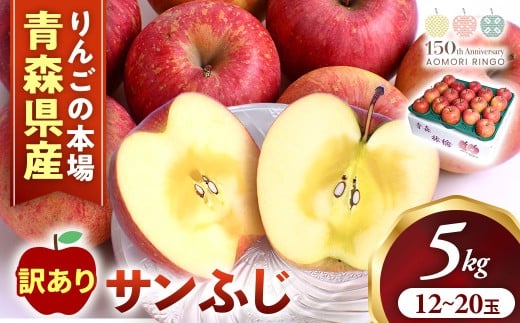 【訳あり】りんご【サンふじ】約5kg（12～20玉）【2025年産】★2026年1月以降順次発送予定★ アップル 林檎 フルーツ 果物 果実  産地直送 農家直送 送料無料 青森県三戸町 R0609