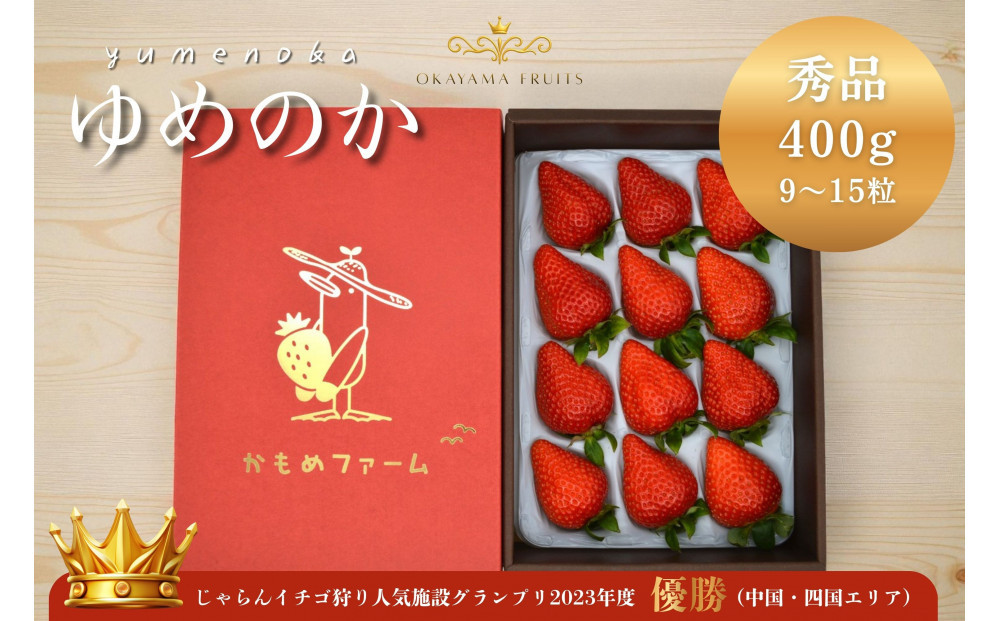 かもめファーム ゆめのか 化粧箱 400g（9～15粒）岡山県産 いちご 秀品