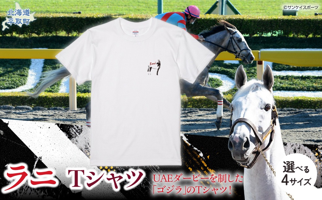 【ラニ】Ｔシャツ 選べる４サイズ BRTV400-v