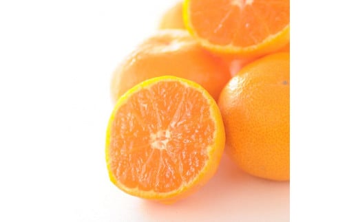 蔵出しみかん3kg SMLサイズお任せ【下津の蔵出しみかん】和歌山県鈴木農園より農園直送！｜蔵出しミカン 蔵出し蜜柑 蔵出しmikan 蔵出し下津みかん 蔵出ししもつみかん 蔵出し 冬眠みかん 贈答 