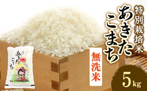 新米　令和6年産　特別栽培米あきたこまち　無洗米5kg【配送不可地域：離島・沖縄県】